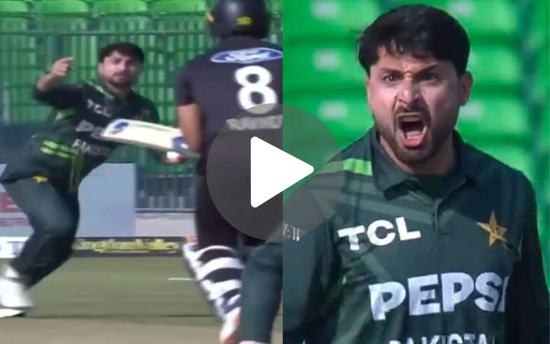 [Watch] Abrar Ahmed Screams In Anger After Removing Rachin Ravindra In 1st ODI